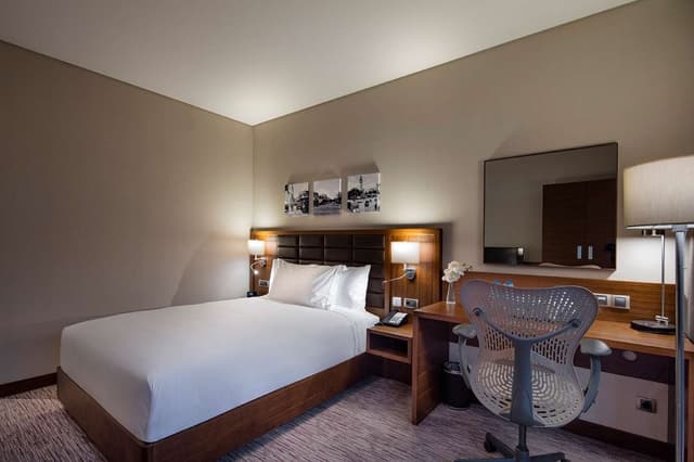 QUEEN ACCESSIBLE ROOM