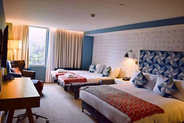 Family Room, Multiple Beds