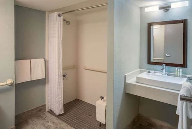 Room, 1 King Bed, Accessible, Non Smoking (Roll-in Shower)