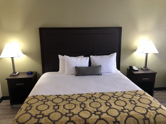 Room, 1 King Bed, Accessible, Non Smoking
