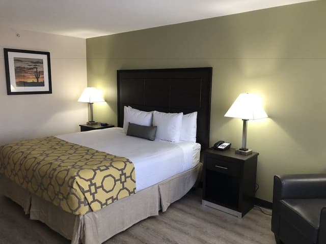 Room, 1 King Bed, Accessible, Non Smoking