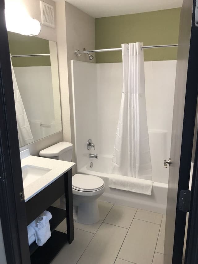 Room, 1 King Bed, Accessible, Non Smoking