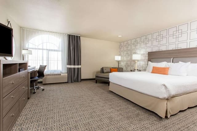 Standard Studio, 1 King Bed, Accessible, Non Smoking (Mobility)