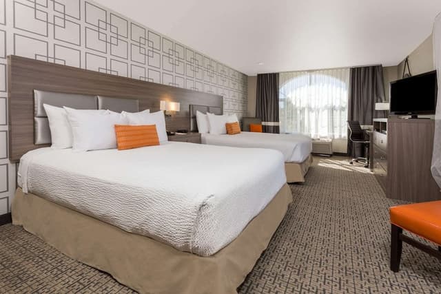 2 Queen Beds, Mobility Accessible Kitchen Studio, Non-Smoking