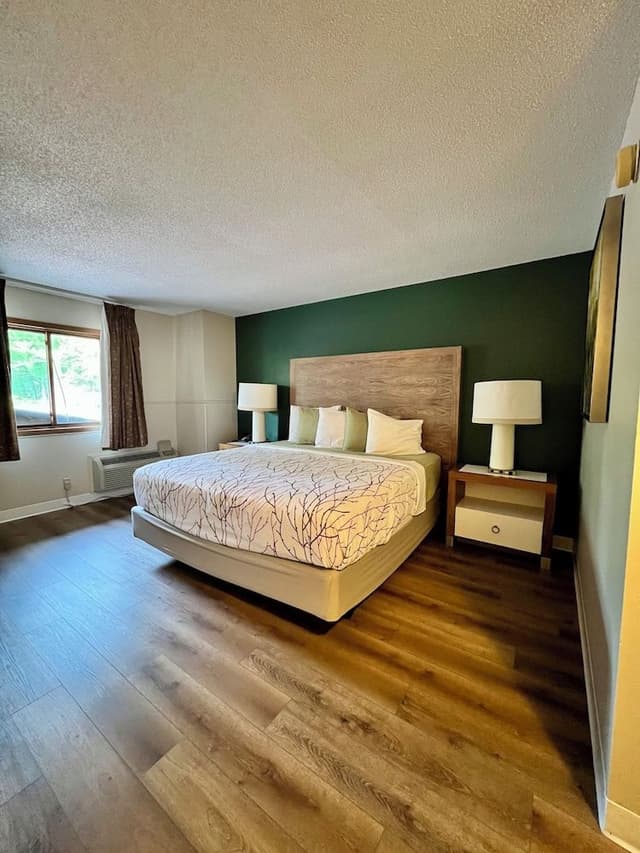 Room, 1 King Bed