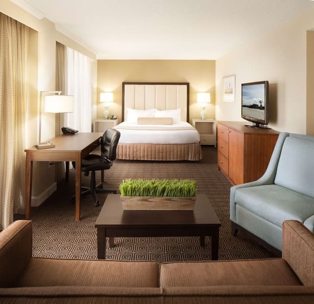 Room, 1 King Bed, River View
