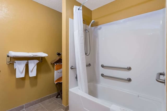 Suite, 1 King Bed