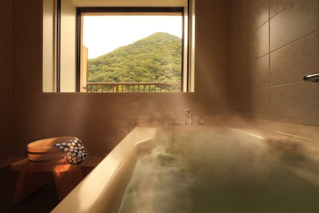 Deluxe Twin Room (Shuhokan)