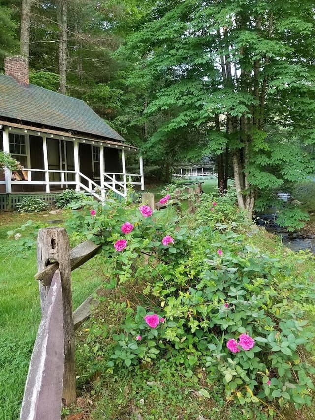 Standard Cabin, 1 Queen Bed