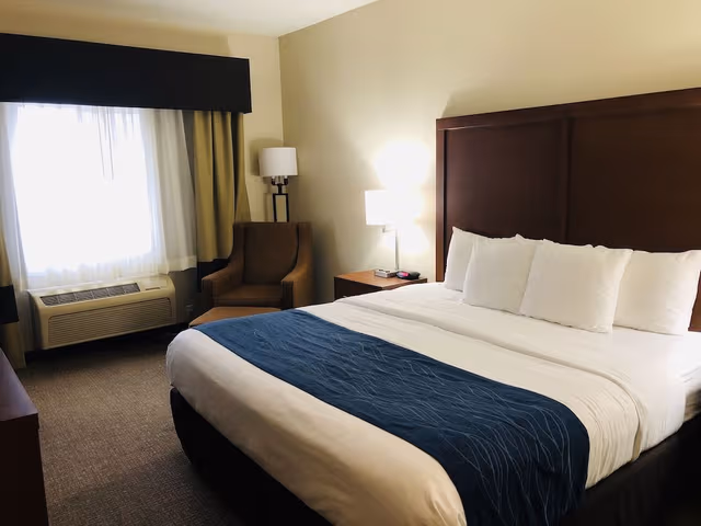 Standard Room, 1 King Bed, Non Smoking