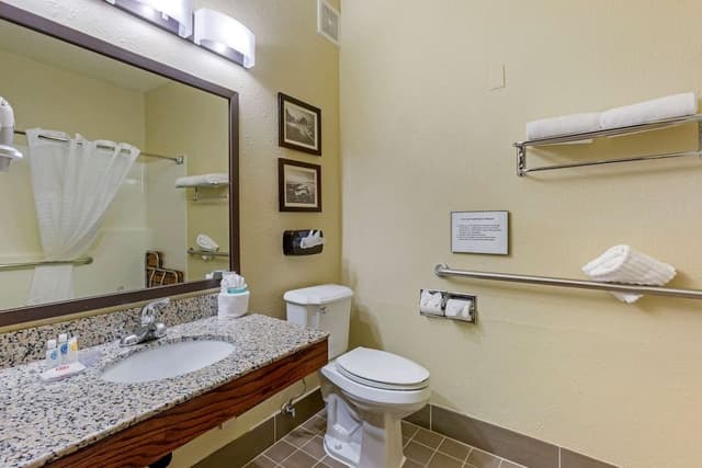 Room, 1 King Bed, Accessible, Non Smoking