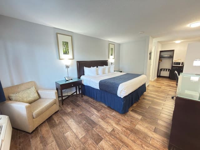 Standard Room, 1 King Bed, Non Smoking