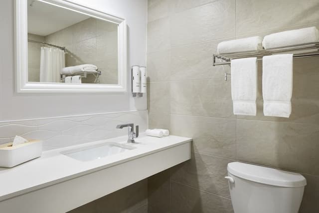 Signature Room, 1 King Bed