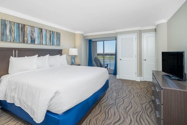 1 King Bed Accessible Suite (Water View)