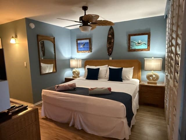 Standard Apartment, Lanai, Ocean View
