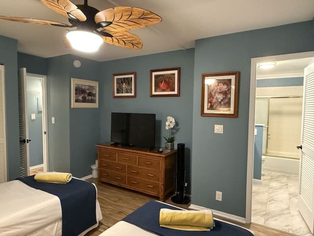 Standard Apartment, Lanai, Ocean View