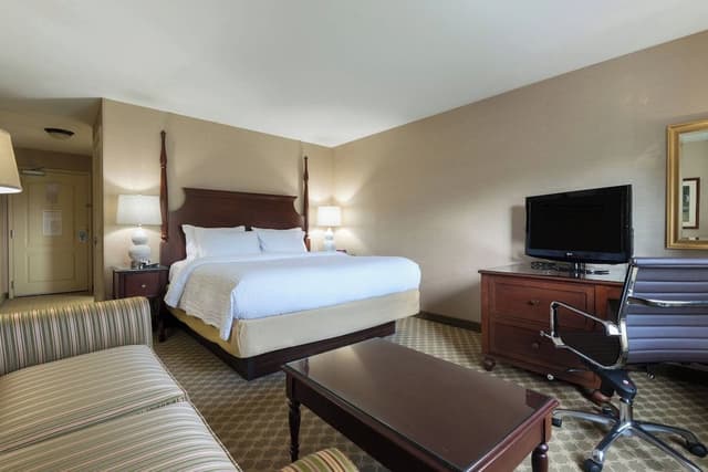 Room, 1 King Bed with Sofa bed
