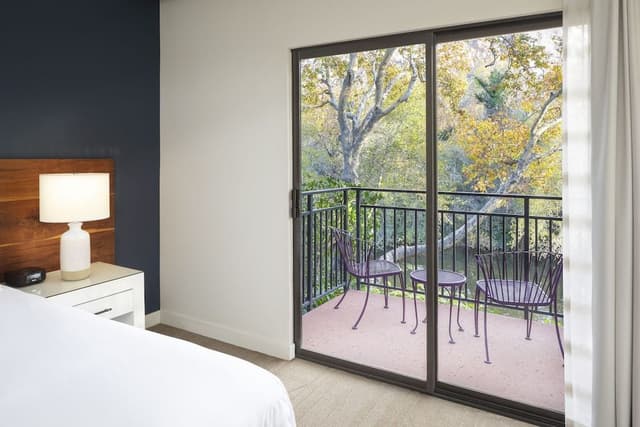 Suite, 1 Bedroom (Creekside Amara, Roll-in)