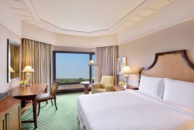 Room, 1 King Bed