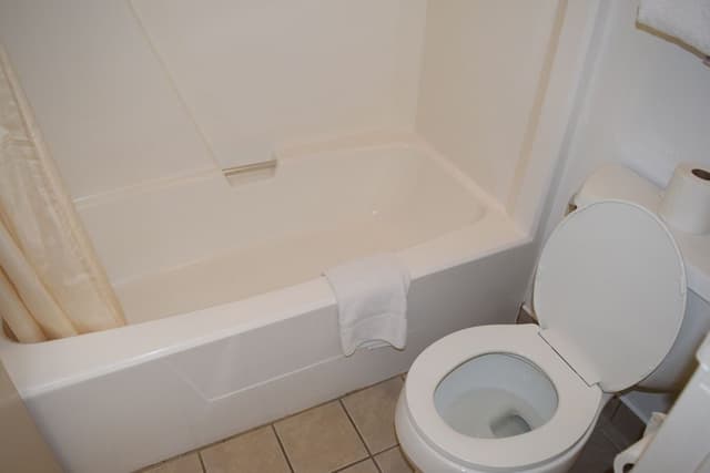 Standard Room, 2 Queen Beds