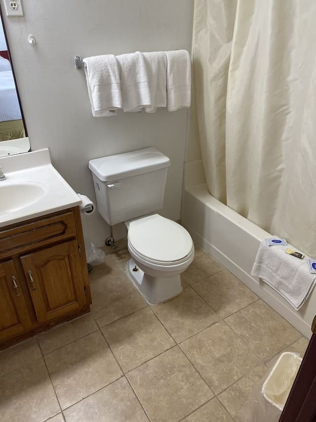 Standard Double Room (Pet Friendly)