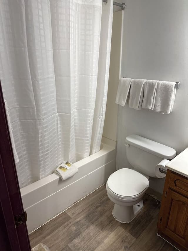 Standard Double Room (Pet Friendly)