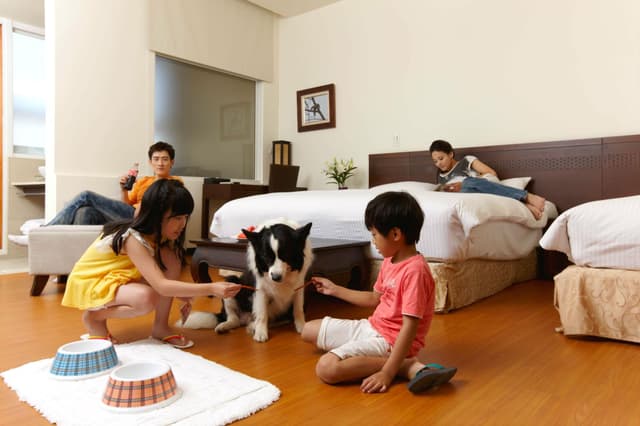 Classic Family Room - Pet-Friendly