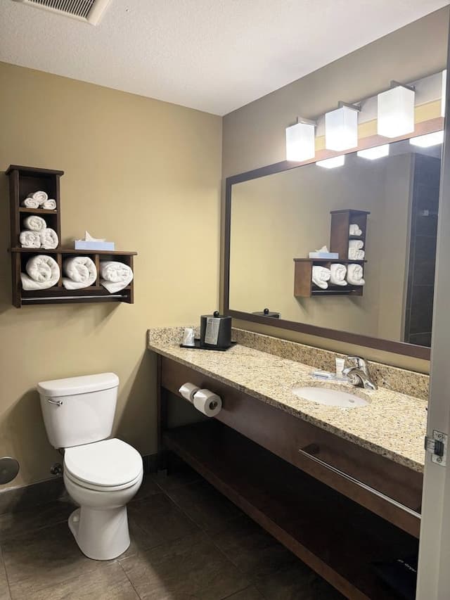 Suite, 1 King Bed (Extended Stay)