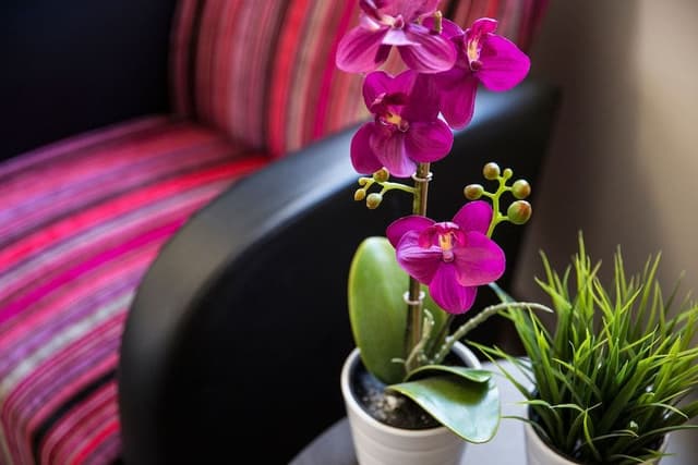 Economy Double Room (Shared Facilities)