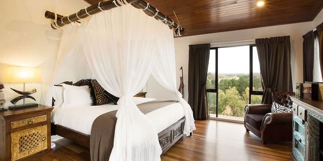 Lemur Room