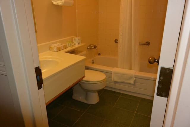 Jacuzzi Room, 1 King Bed and Fireplace