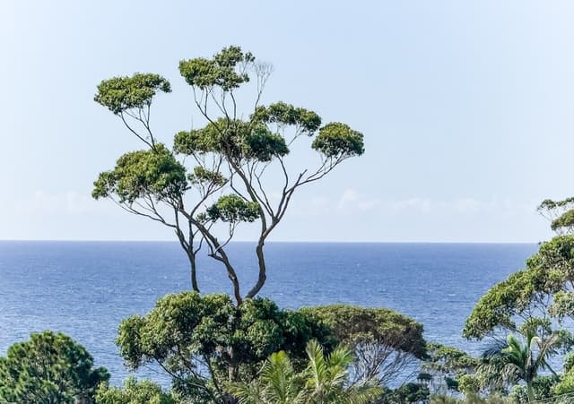 Twin/Triple Room, Ocean View