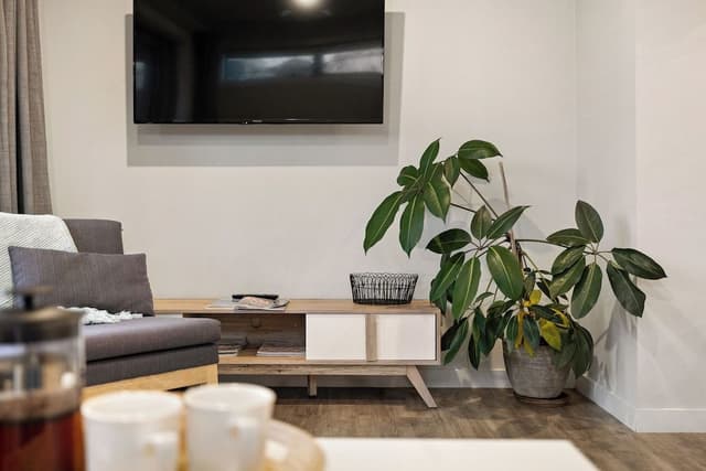 Two Bedroom Deluxe Apartment