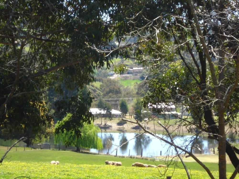 Pamela's Retreat3