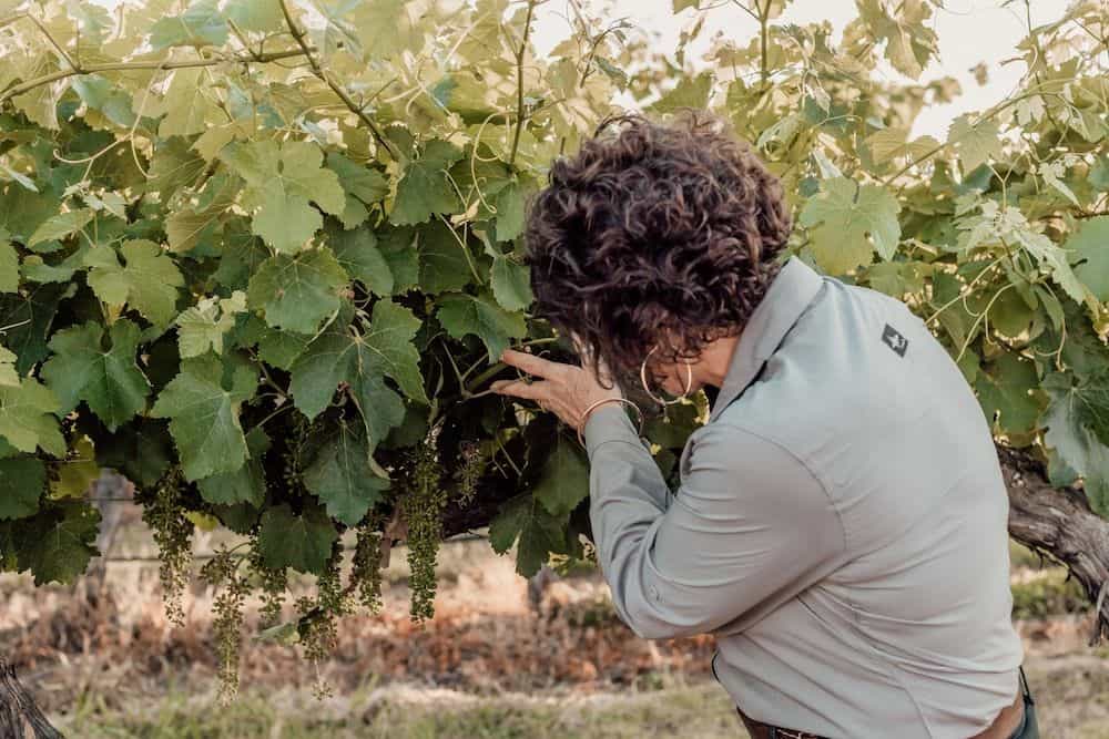 Farmer's Daughter Wines