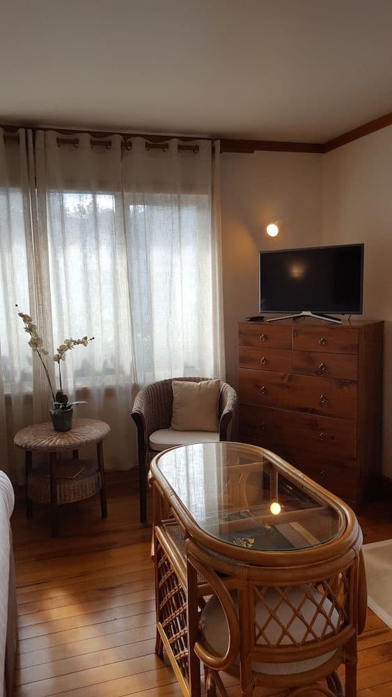 Basic Studio, 1 King Bed, Non Smoking, Patio