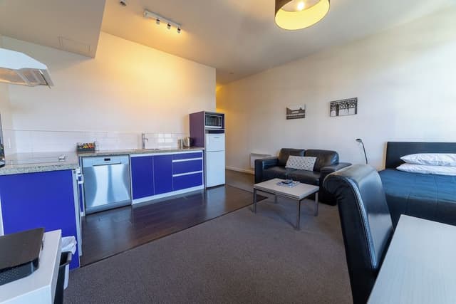 Deluxe One-Bedroom Apartment