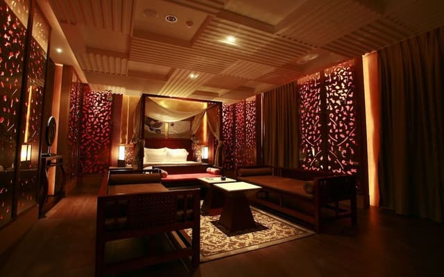 Luxury Suite (Daily check out is required)
