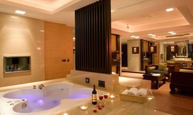 Luxury Suite (Daily check out is required)