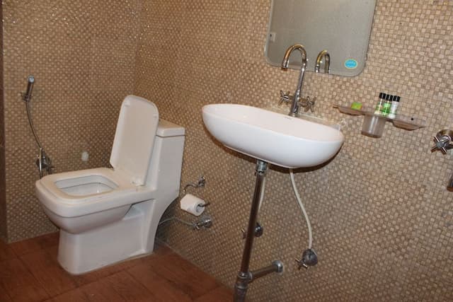 Deluxe Double Room, 1 King Bed