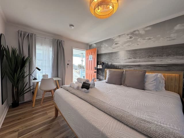 Comfort Single Room, 1 King Bed, Non Smoking, Pool View