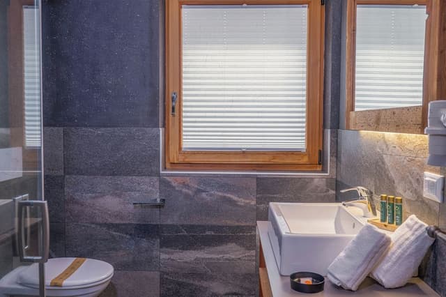 Deluxe Apartment, Mountain View