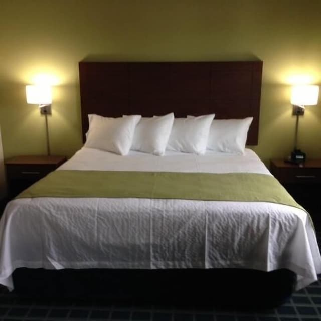 Executive Room, 1 King Bed