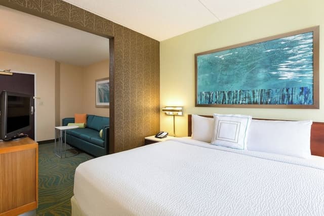 Suite, 1 King Bed with Sofa bed