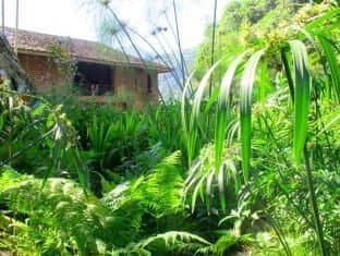 Baan Kaew Mongkorn Baan Kaew Mongkorn