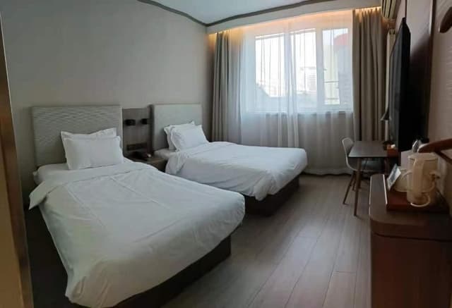 Guest Twin Room