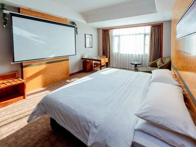 Vienna - Cinema Bed Room