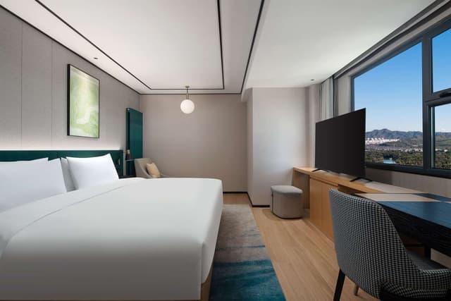 KING DELUXE ROOM MOUNTAIN VIEW