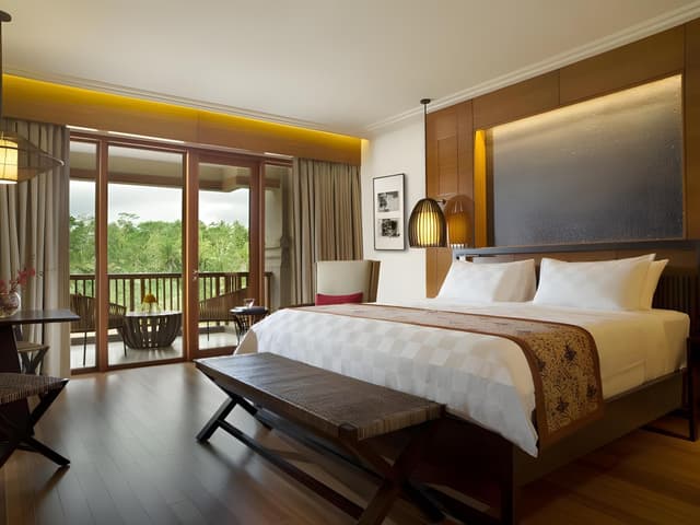 Premier Room