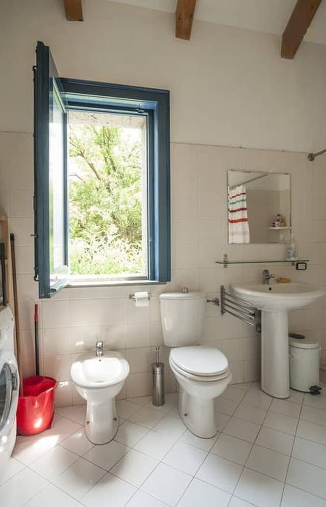 Standard Studio, Garden View, Garden Area